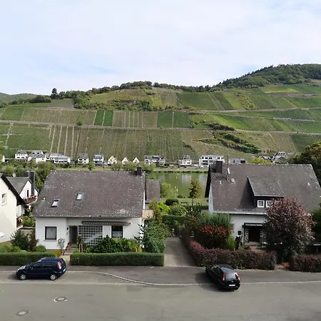 招待所 Appart-pension-schier