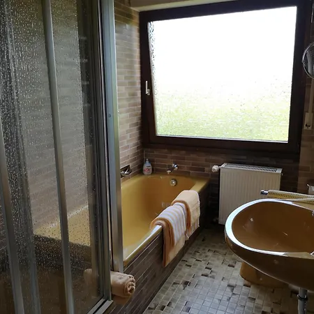 Gasthuis Appart-pension-schier Zell