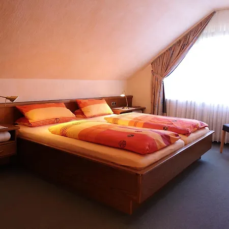 Appart-pension-schier 4*