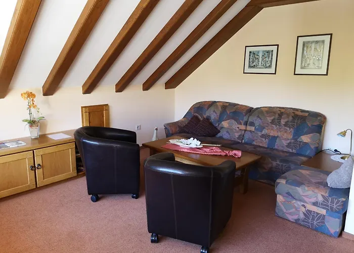 Appart-pension-schier 4* 摩泽尔河畔的泽尔