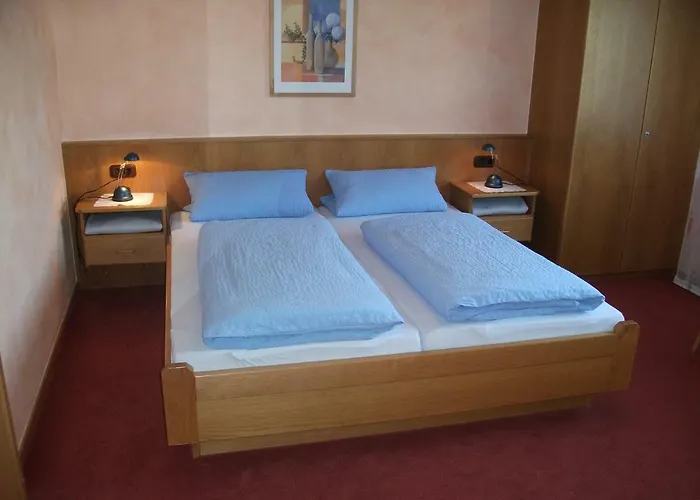 Appart-pension-schier 4* 摩泽尔河畔的泽尔