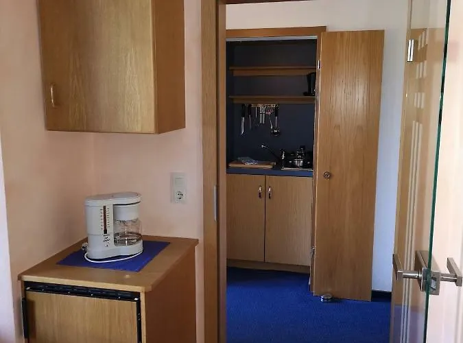 Appart-pension-schier 摩泽尔河畔的泽尔