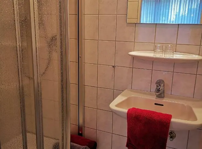 招待所 Appart-pension-schier 摩泽尔河畔的泽尔