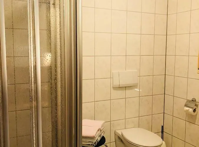 招待所 Appart-pension-schier 摩泽尔河畔的泽尔