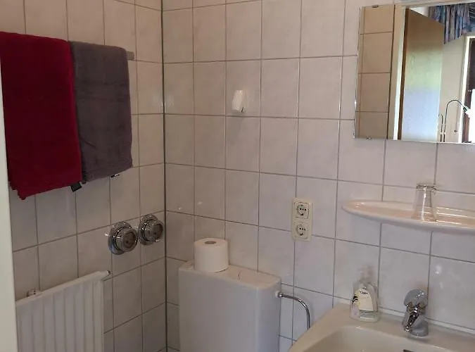 Appart-pension-schier 招待所 摩泽尔河畔的泽尔