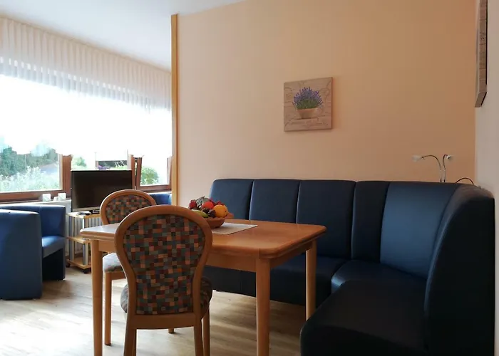 Appart-pension-schier 招待所 摩泽尔河畔的泽尔