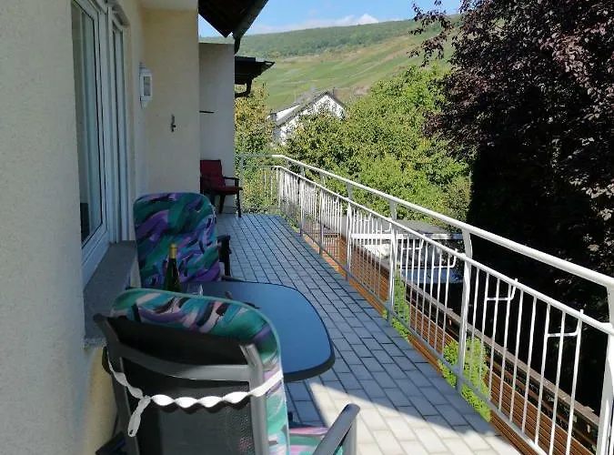 Appart-pension-schier 摩泽尔河畔的泽尔