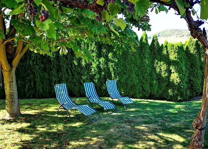 Appart-pension-schier 招待所 摩泽尔河畔的泽尔