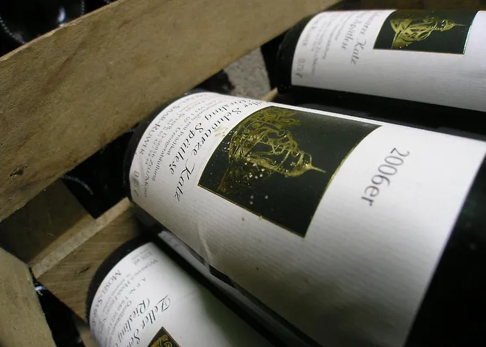 Appart-pension-schier 招待所 摩泽尔河畔的泽尔