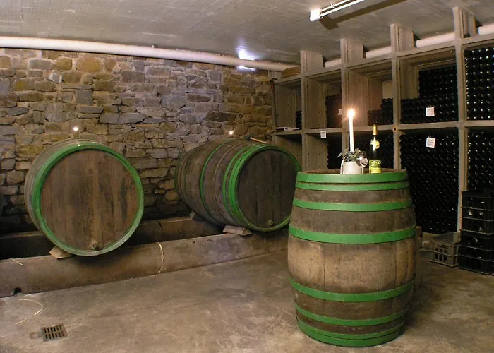 Appart-pension-schier 摩泽尔河畔的泽尔